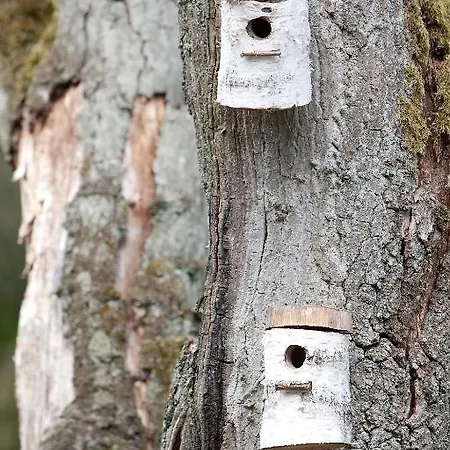 De Berkenhorst Parque de vacaciones Kootwijk