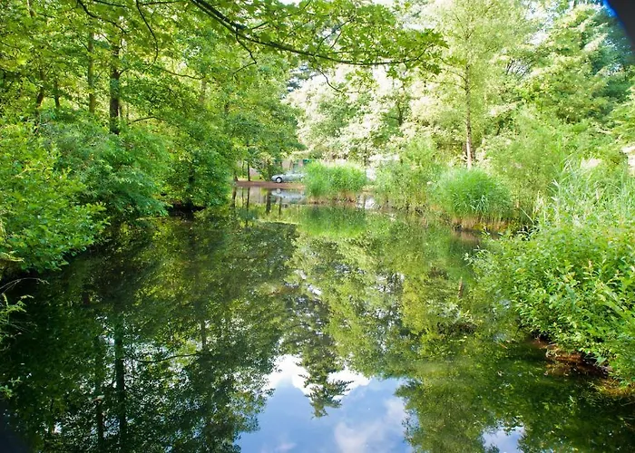 De Berkenhorst Feriepark 3*