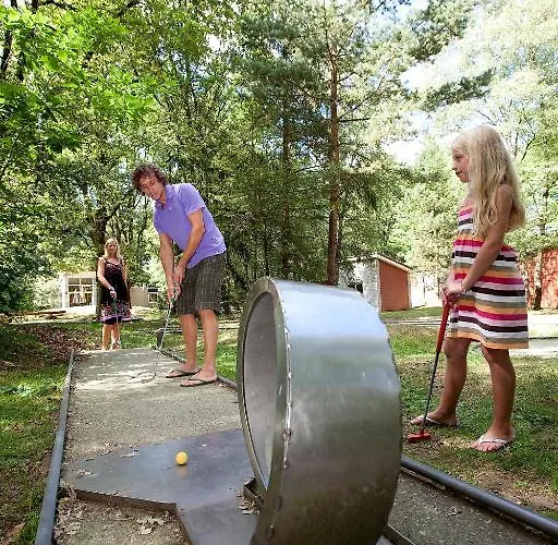 De Berkenhorst Feriepark 3*