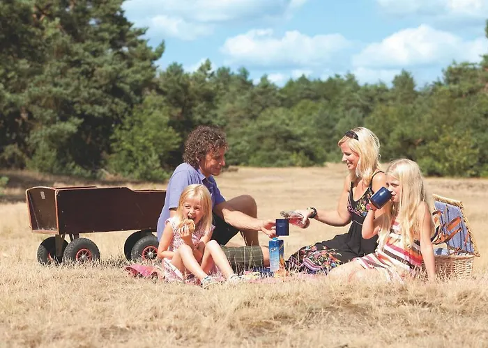 De Berkenhorst Feriepark 3*